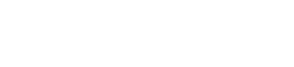 Rühlig Group | Mitteilungspflicht für elektronische Aufzeichnungssysteme Rühlig Group | Mitteilungspflicht für elektronische Aufzeichnungssysteme